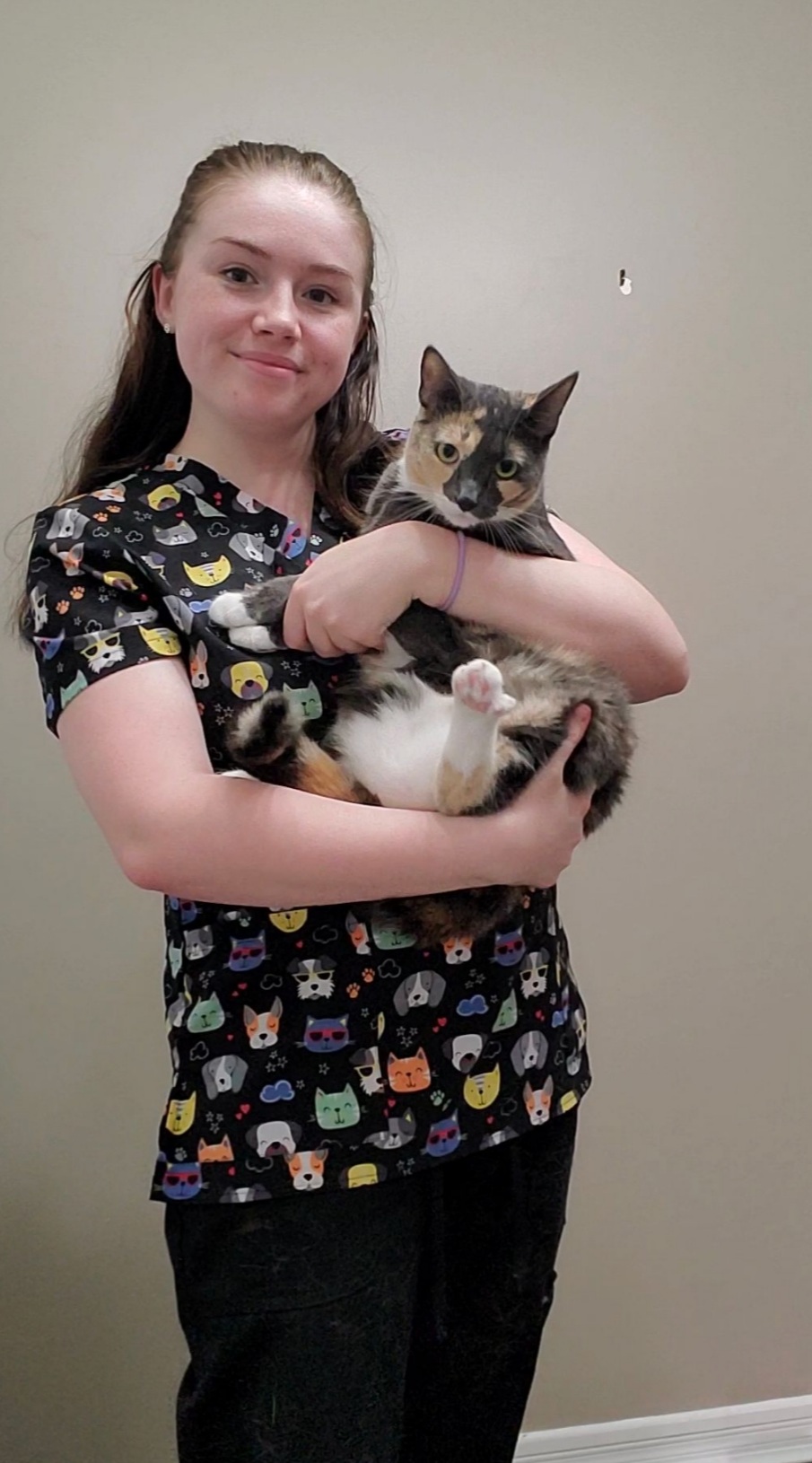 We Serve Pets in Barrie. Animal Hospital of East Barrie